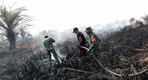 Kondisi Udara Kota Jambi dan Muaro Jambi Memburuk, ISPU di atas 100, Status Tidak Sehat